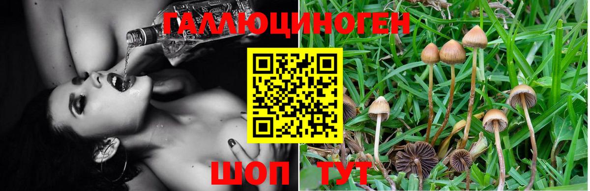 Рубцовск  Псилоцибиновые грибы Magic Shrooms  Галлюциногенные грибы прущие грибы  Вход с VPN 