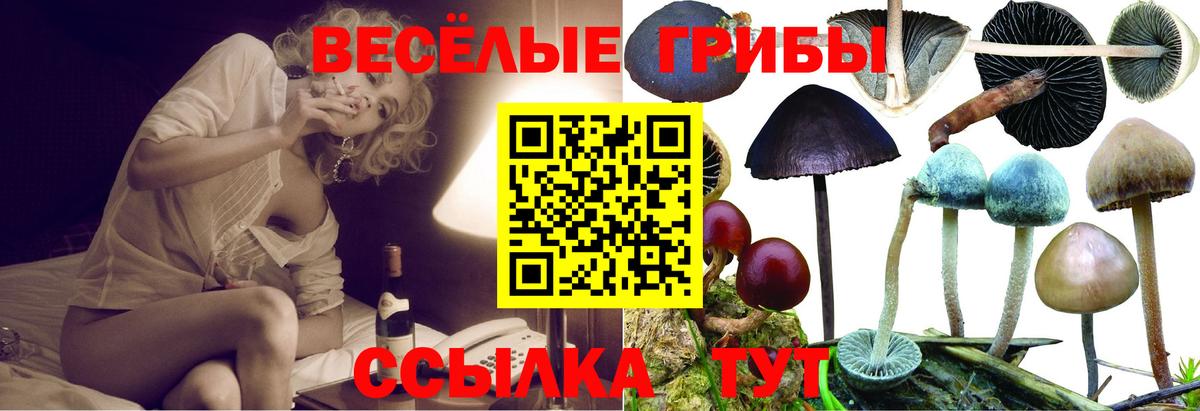 Галлюциногенные грибы мицелий Рубцовск